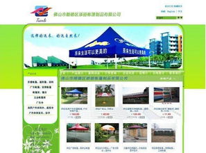 專(zhuān)業(yè)網(wǎng)站建設(shè)與定制 構(gòu)建您的數(shù)字化門(mén)戶